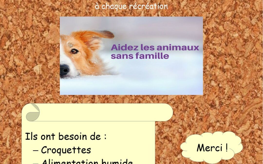 Collecte au profit des animaux.