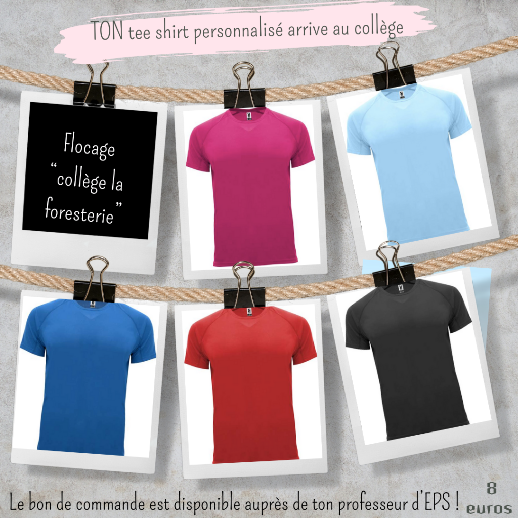 Les 5 coloris de tee-shirt disponibles.